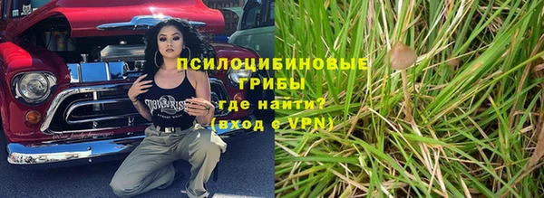 спайс Аркадак