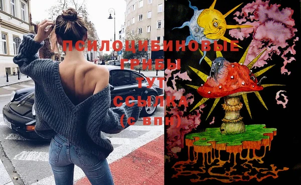 сатива Арсеньев