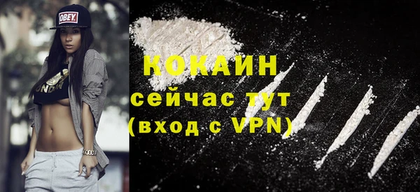 сатива Арсеньев