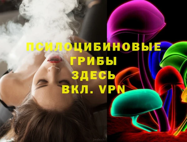 сатива Арсеньев
